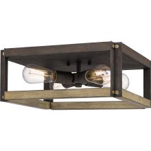 Quoizel FNN1615RK - Finn Flush Mount