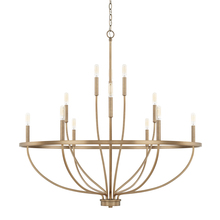 Capital 428501AD - 12 Light Chandelier