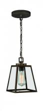 Vaxcel International P0050 - Grant 7-in Mini Pendant Burnished Bronze