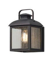 Troy B5081-VBZ - Chamberlain 1LT Wall Lantern Small