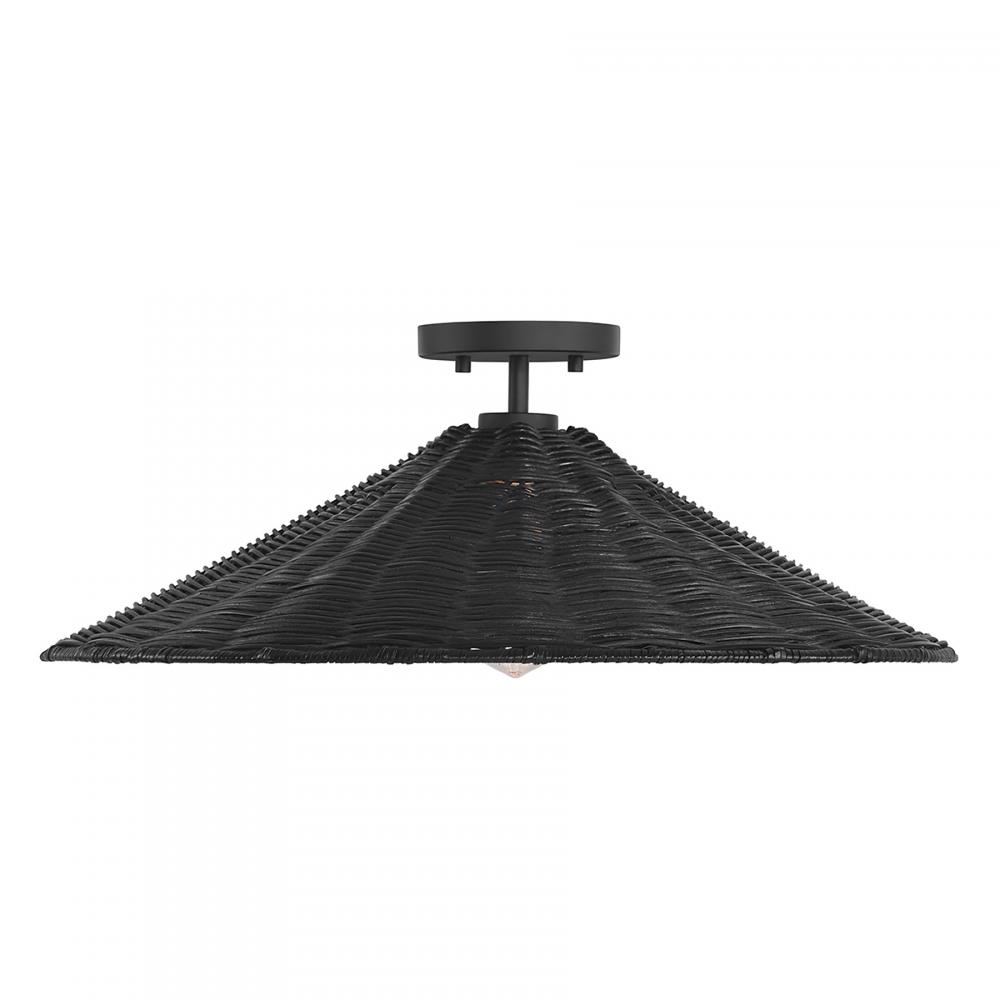 1-Light Ceiling Light in Matte Black