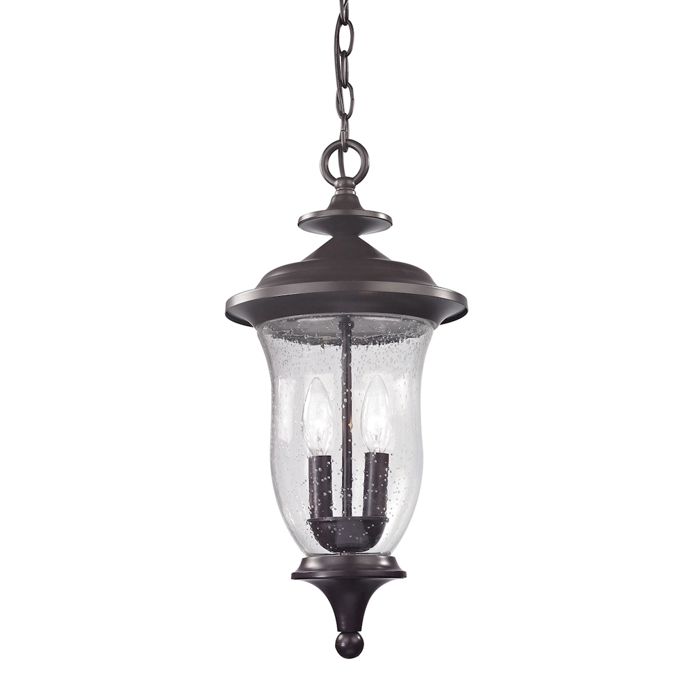 Thomas - Trinity 9'' Wide 2-Light Outdoor Pendant - Oil Rubbed Bronze